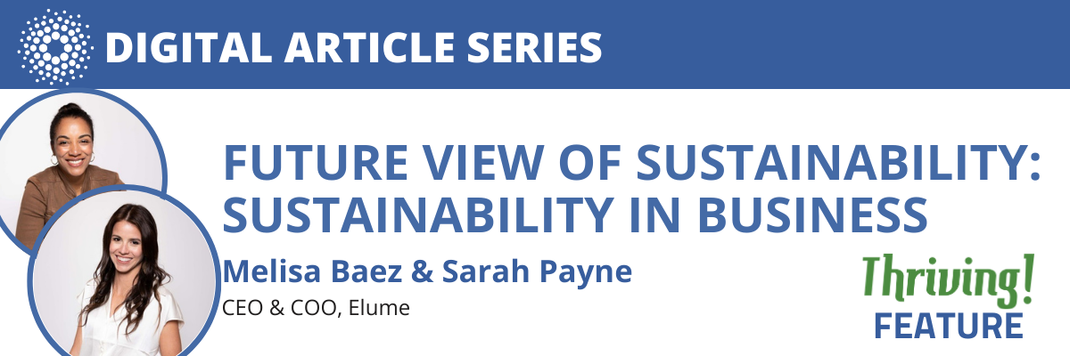 Future View of Sustainability in Business