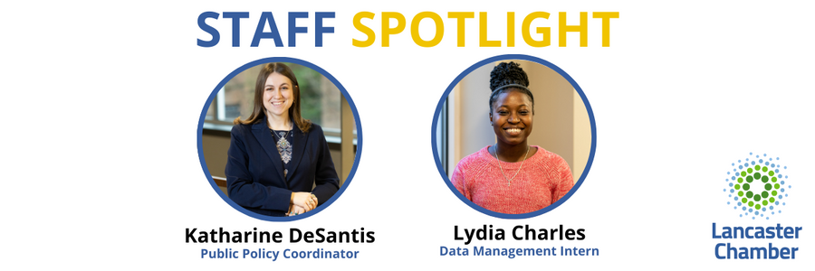 New Team Members: Staff Spotlight