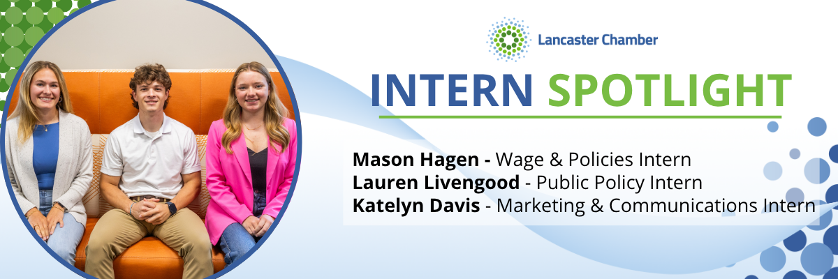 New Team Members: Intern Spotlight