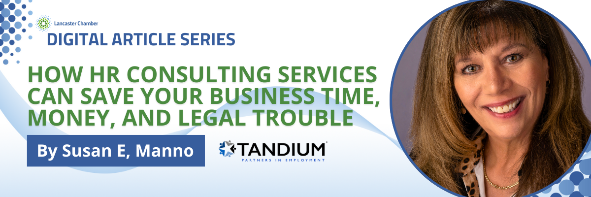 How HR Consulting Services Can Save Your Business Time, Money, and Legal Trouble