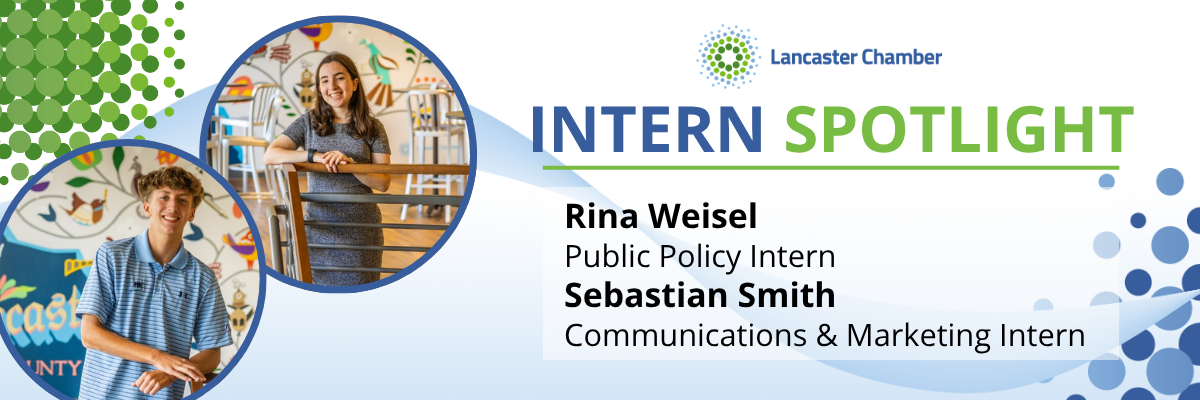 New Team Members: Intern Spotlight