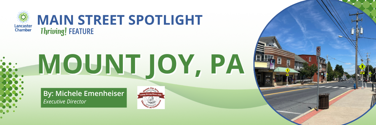 Main Street Spotlight: Mount Joy